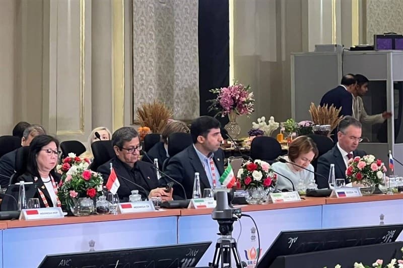 ضرورت تقویت تاب‌آوری اقتصادی و مالی بریکس در برابر چالشهای جهانی