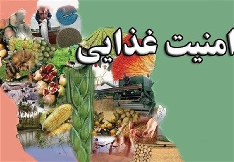 تامین کالاهای اساسی و امنیت غذایی از مسیر کشورهای همسایه