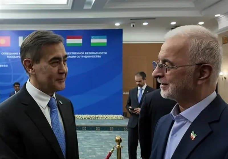 ببینید| سازمان همکاری‌های شانگهای، بازیگر موثر در تحولات جهانی