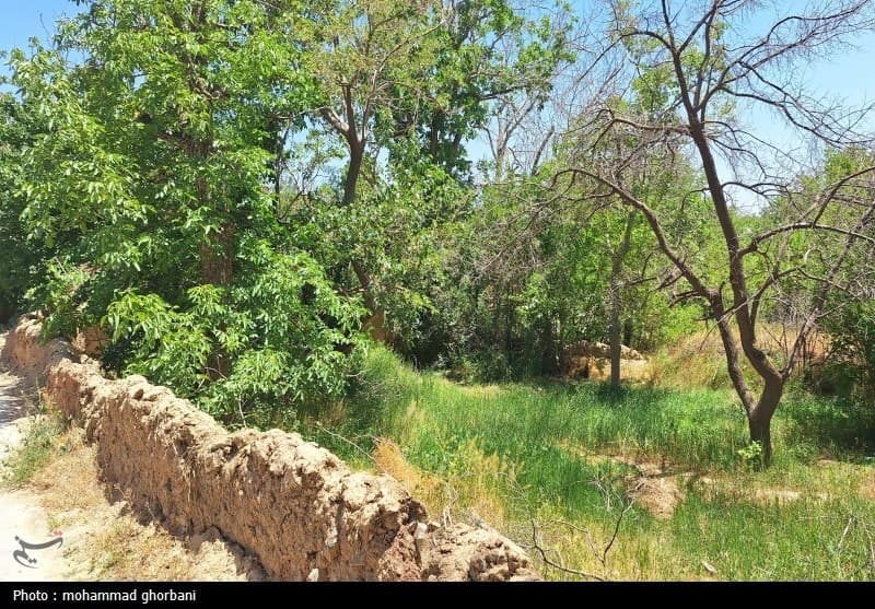 سند راهبردی برای تبدیل روستاها از حاشیه‌نشینان توسعه به بازیگران اصلی