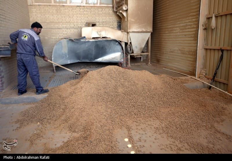 خط اعتباری 1500 میلیارد تومانی بانک مرکزی برای خرید محصولات کشاورزی