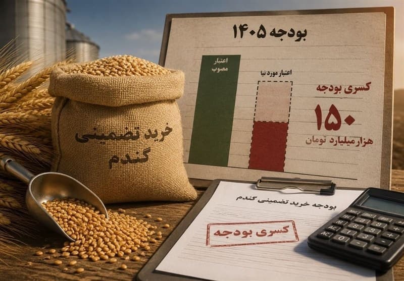 ماجرای کسری بودجه 150 هزار میلیارد تومانی فقط در یک بند از بودجه 1405