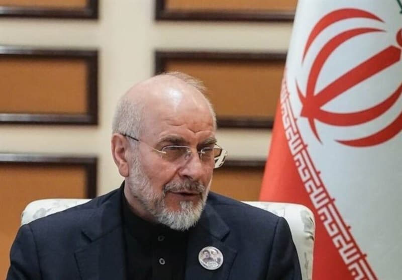 ببینید|قالیباف و هیئت پارلمانی ایران به زیارت حرم امام حسین(ع) رفتند
