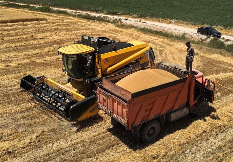 ؜ 8.2 میلیون تن گندم خریداری شد