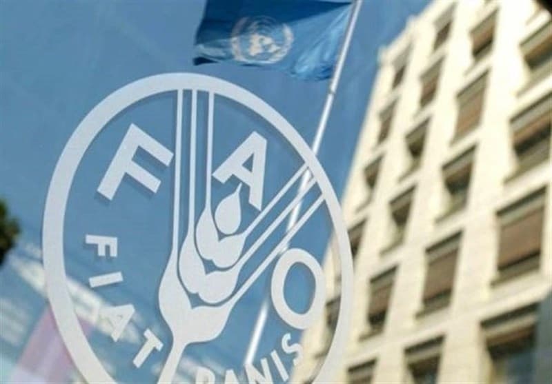 فائو از ادامه فشار جنگ خاورمیانه بر بازار مواد غذایی خبر داد